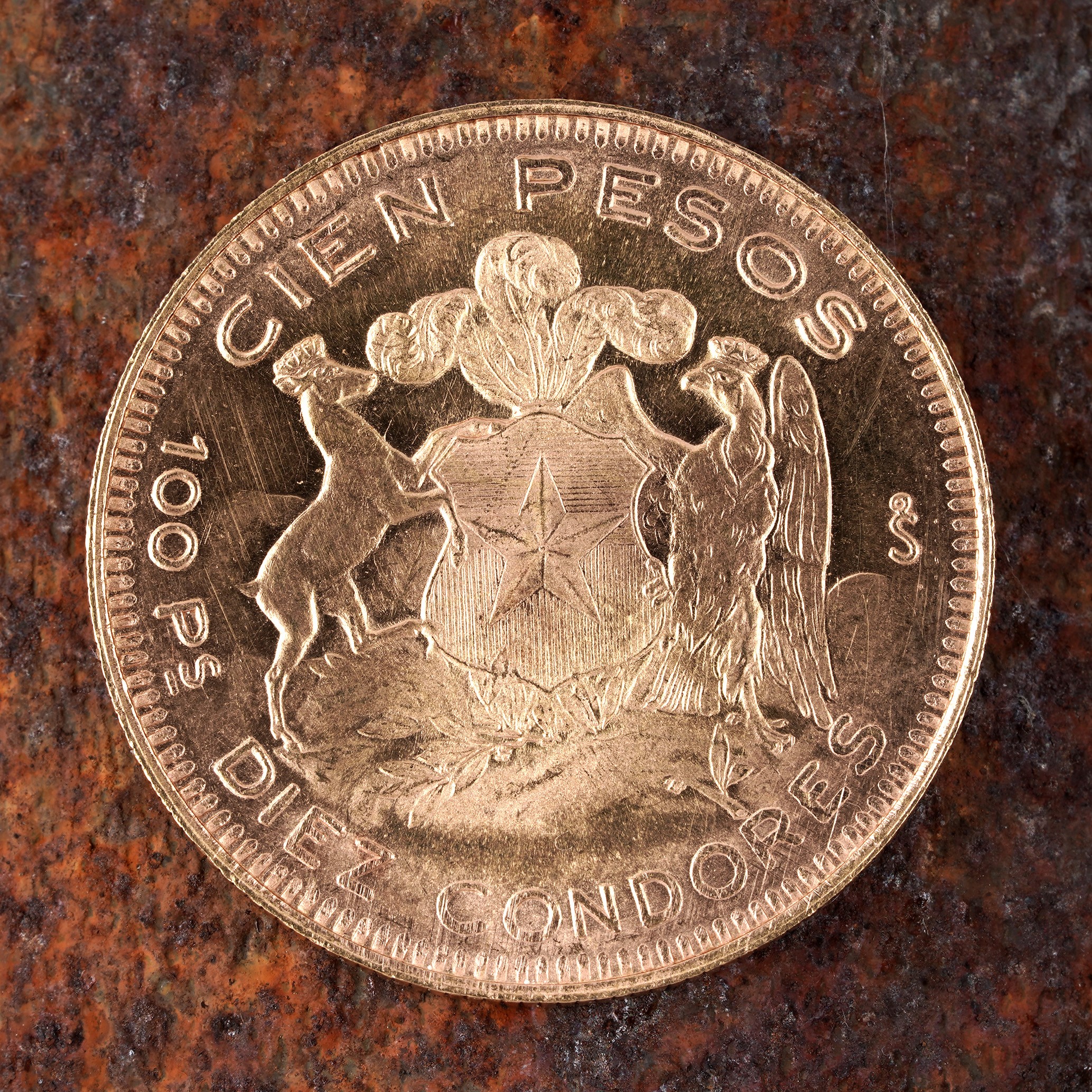 The Coins Auction